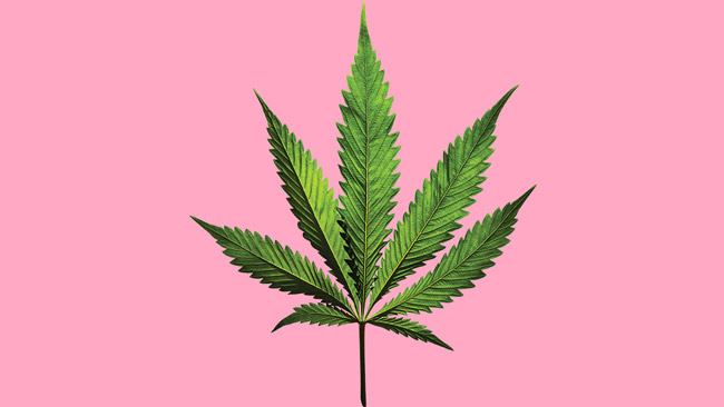 Learn before you burn: What to know about Atlanta’s new marijuana law